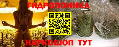 ГАЛЛЮЦИНОГЕННЫЕ ГРИБЫ Будённовск