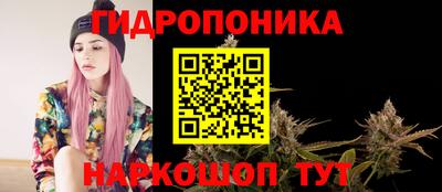 ГАЛЛЮЦИНОГЕННЫЕ ГРИБЫ Будённовск